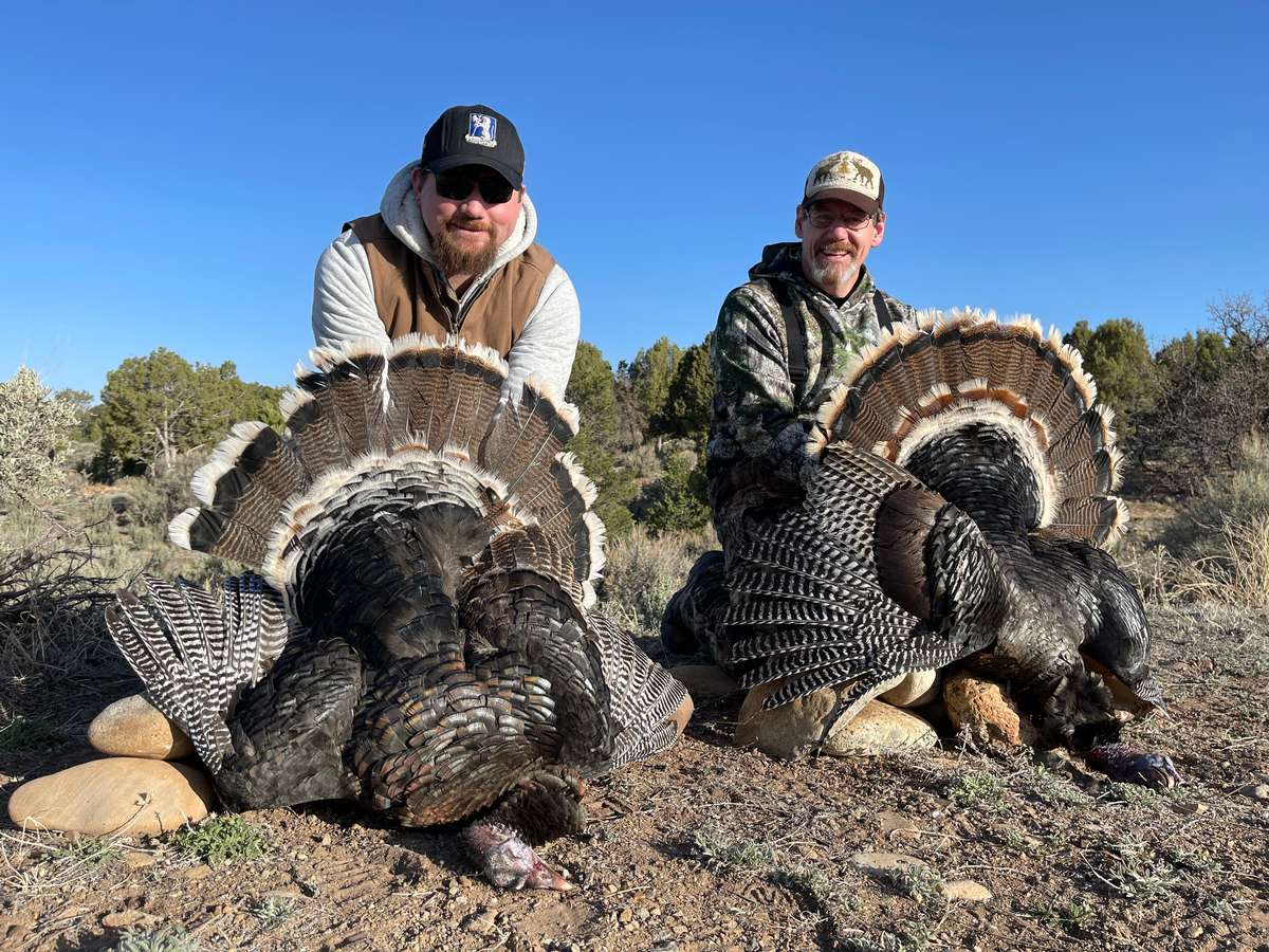 Southwestern Colorado Turkey Hunts Turkey Hunting Outfitters